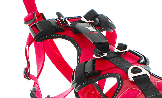 Boucle plastique souple harnais confort trek rouge randonnée canicross