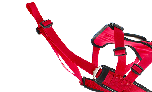 Sangle de traction amovible harnais Confort Trek randonnée canicross rouge
