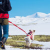 Conseil entretien longe traction rouge confort trek randonnée canicross